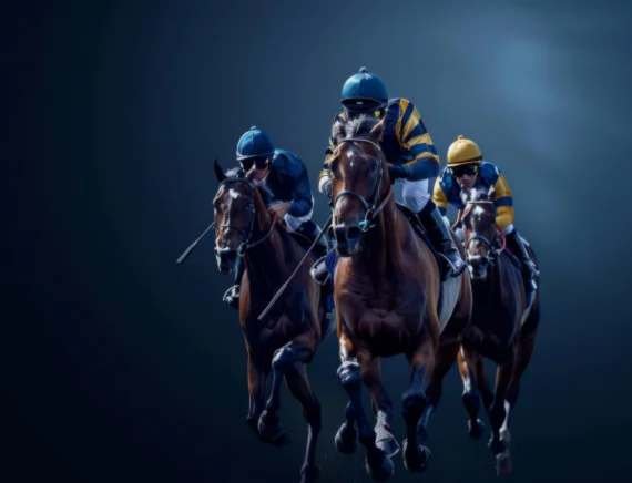 A thoroughbred paddock at dawn